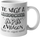 Legszerencsésebb apa a világon - Bögre