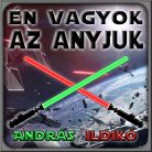 Én vagyok az anyjuk - Star Wars Vászonkép (Személyre szabható)