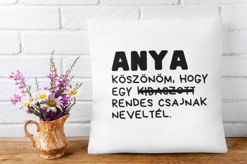 Anya rendes csajnak nevelt - Párna Anyáknak