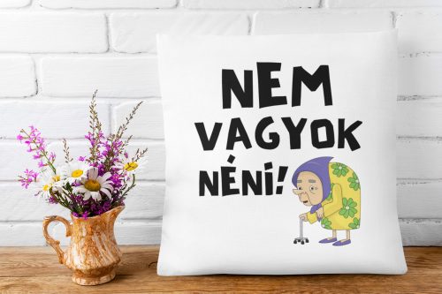 Nem vagyok néni - Párna Anyáknak