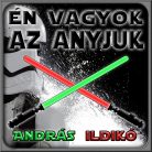 Én vagyok az anyjuk - Star Wars Vászonkép (Személyre szabható)