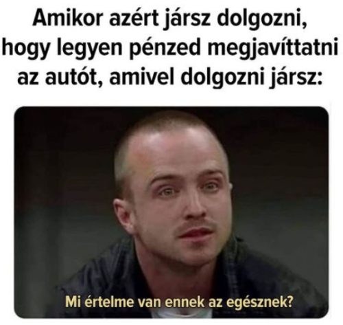 Mi értelme van? Meme Termékek