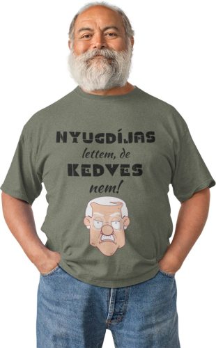 Nyugdíjas lettem, de kedves nem - Férfi Póló