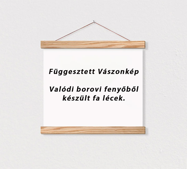 fuggesztett-vaszonkep.jpg